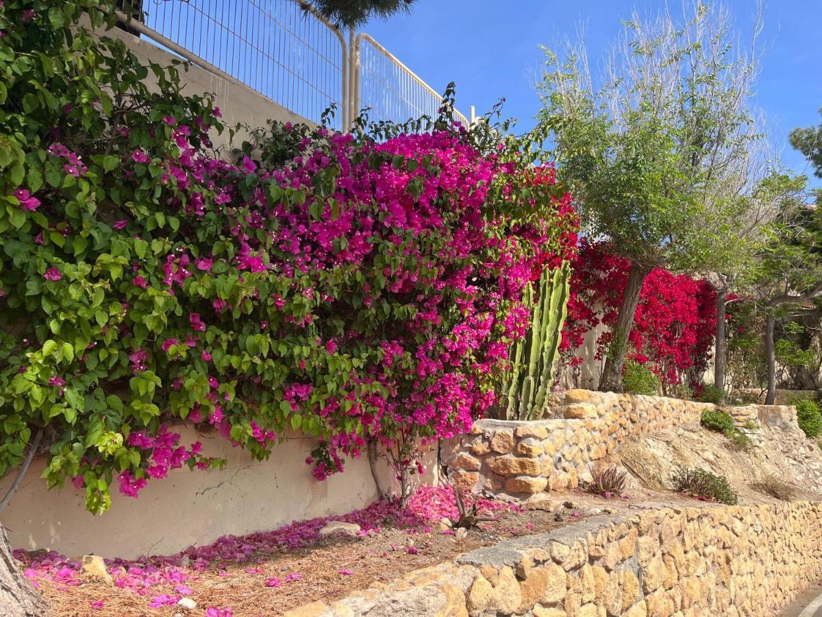 Roymar 14 Playa Apartment Benidorm Ngoại thất bức ảnh