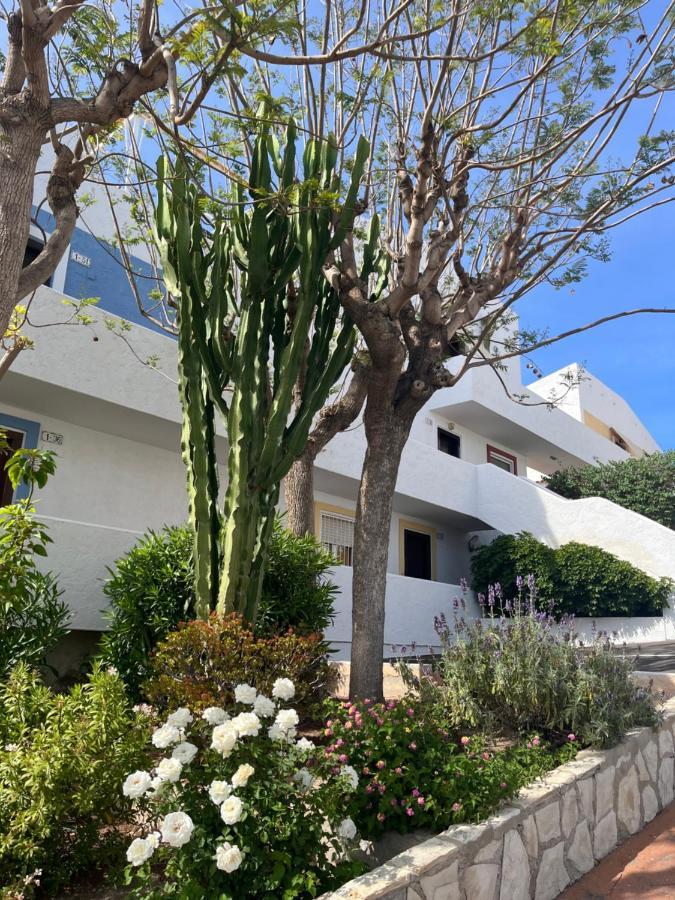 Roymar 14 Playa Apartment Benidorm Ngoại thất bức ảnh